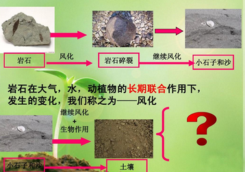 土壤檢測儀器操作臺標(biāo)準(zhǔn)